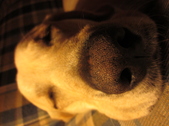 Enlarge photo 76