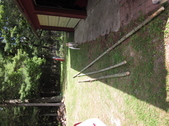 Enlarge photo 81