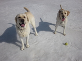 Up North April 2011