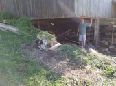 Enlarge photo 22