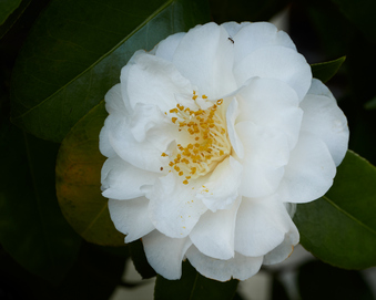 Enlarge photo 14