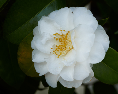 Enlarge photo 14