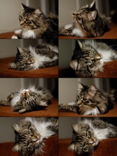 Enlarge photo 17