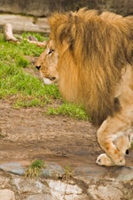 Enlarge photo 29