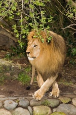 Enlarge photo 30