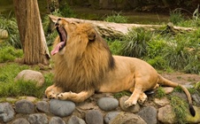 Enlarge photo 24