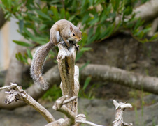Enlarge photo 104