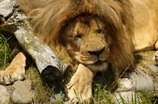 Enlarge photo 143