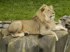 Enlarge photo 16