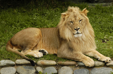 Enlarge photo 19