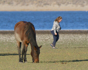 Enlarge photo 7