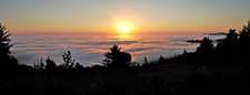 Enlarge photo 46