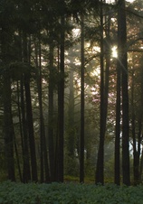 Enlarge photo 31