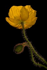 Enlarge photo 26