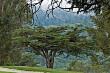 Enlarge photo 34