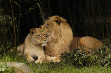 Enlarge photo 15