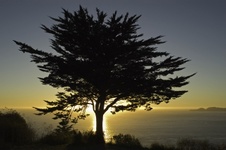 Enlarge photo 47
