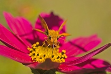 Enlarge photo 20