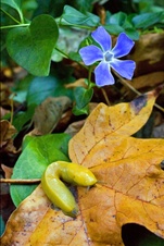 Enlarge photo 21
