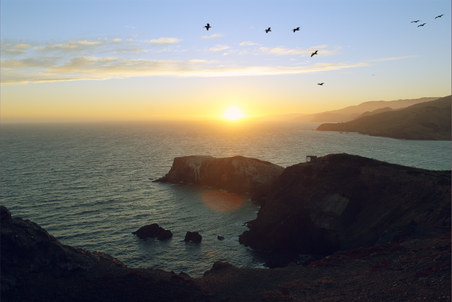 Enlarge photo 65