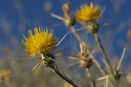 Enlarge photo 32