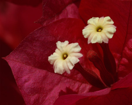 Enlarge photo 36