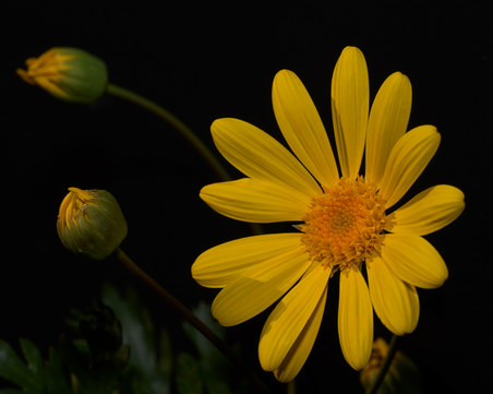 Enlarge photo 35