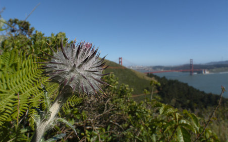 Enlarge photo 31