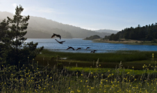 Enlarge photo 25