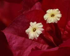 Enlarge photo 57