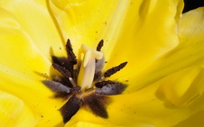 Enlarge photo 52