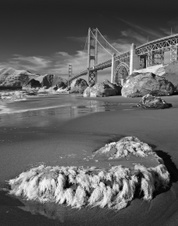 Enlarge photo 120
