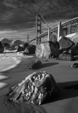 Enlarge photo 121