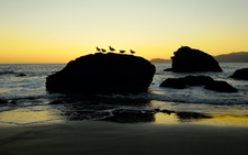 Enlarge photo 72