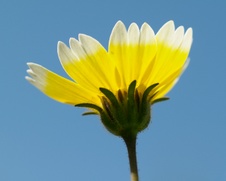 Enlarge photo 118