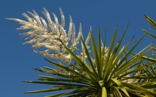 Enlarge photo 116