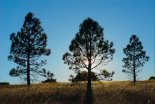 Enlarge photo 43
