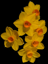 Enlarge photo 58