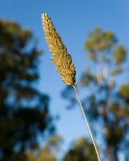 Enlarge photo 111