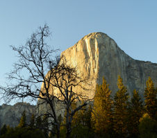 Enlarge photo 93