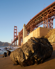 Enlarge photo 94