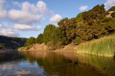 Enlarge photo 91
