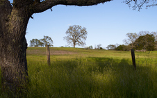 Enlarge photo 84