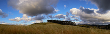 Enlarge photo 73