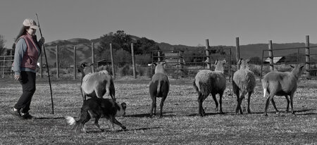 Enlarge photo 7