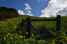 Enlarge photo 15