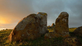 Enlarge photo 14