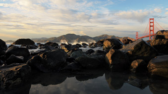 Enlarge photo 31