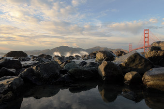 Enlarge photo 30