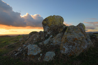 Enlarge photo 26